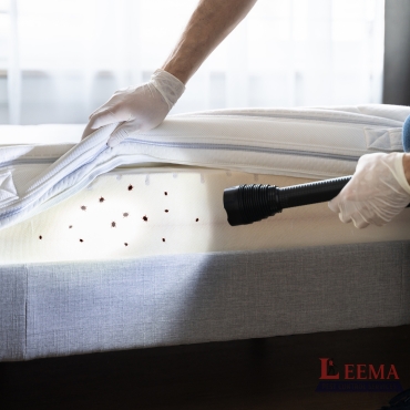 Bed Bug Control